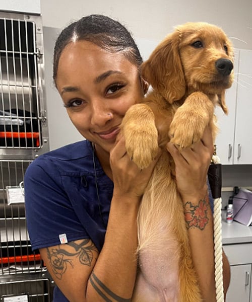 Alaijah, Orlando Animal Care Technician