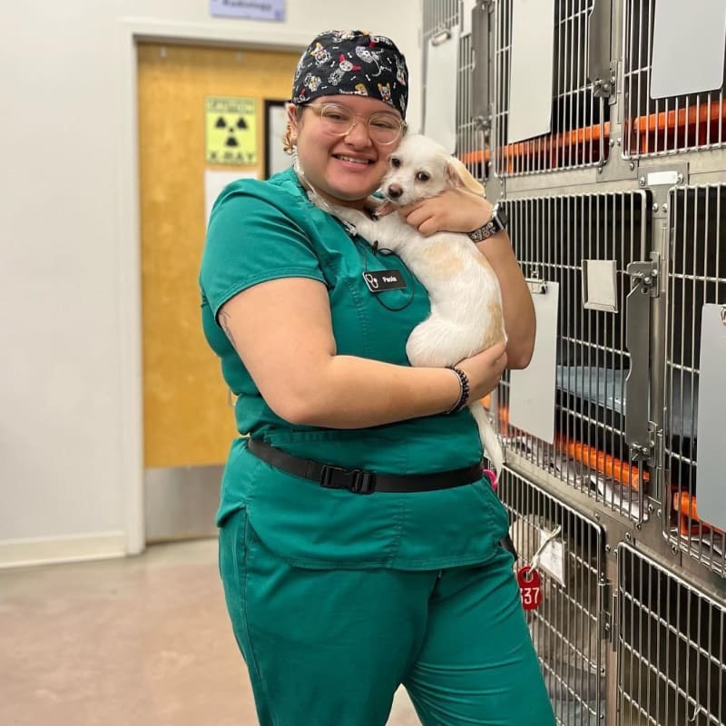 Pet Boarding & Medical Boarding for Cats & Dogs, Orlando Vet