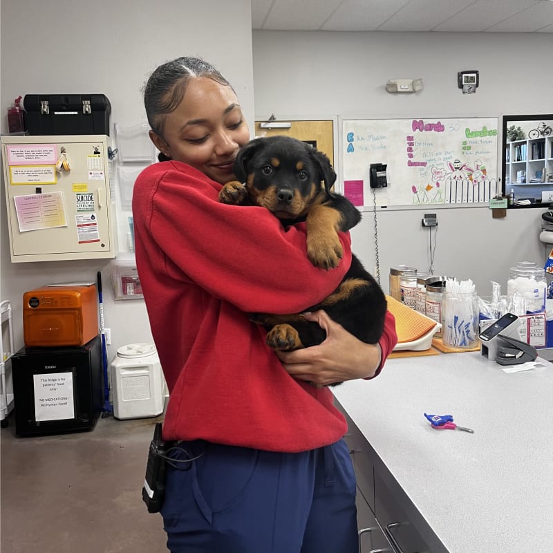 Community Outreach, Orlando Vet