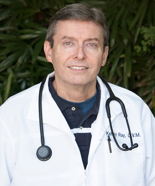 Dr. Kelley Ray, Orlando Veterinarian