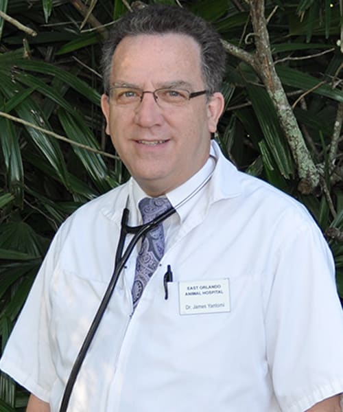 Dr. James Yantorni, Orlando Veterinarian