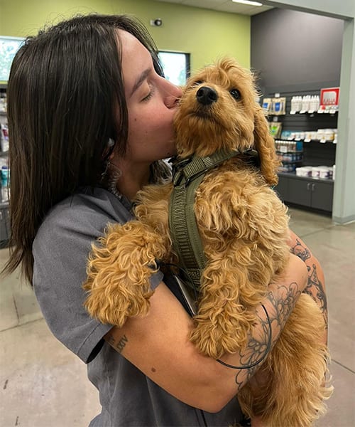 Fernanda, Orlando Veterinary Technician