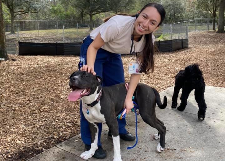 Welcome to East Orlando Animal Hospital | Orlando Vet Welcome to East Orlando Animal Hospital | Orlando Vet