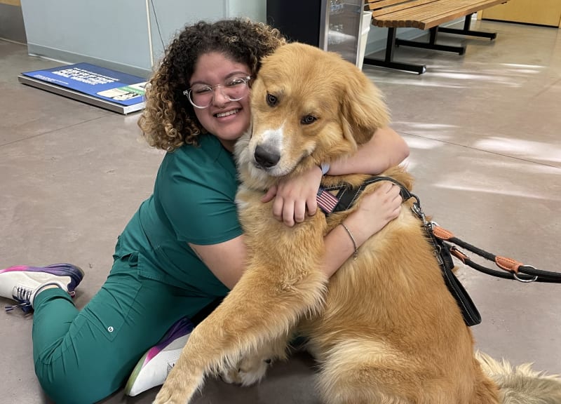 Welcome to East Orlando Animal Hospital | Orlando Vet Welcome to East Orlando Animal Hospital | Orlando Vet
