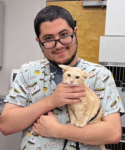 Nathan, Orlando Veterinary Assistant