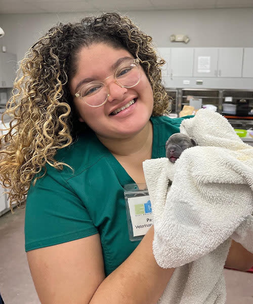 Paola, Orlando Veterinary Technician
