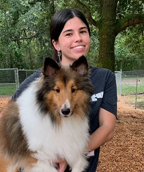 Meet Everson, Orlando Animal Care Technician