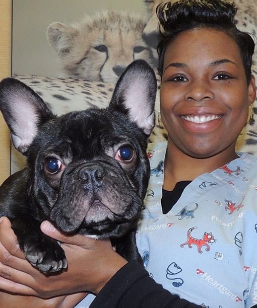 Mae, Orlando Veterinary Technician Supervisor