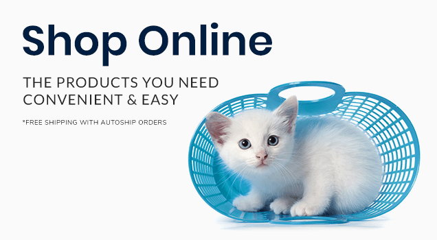 Welcome to East Orlando Animal Hospital | Orlando Vet Welcome to East Orlando Animal Hospital | Orlando Vet